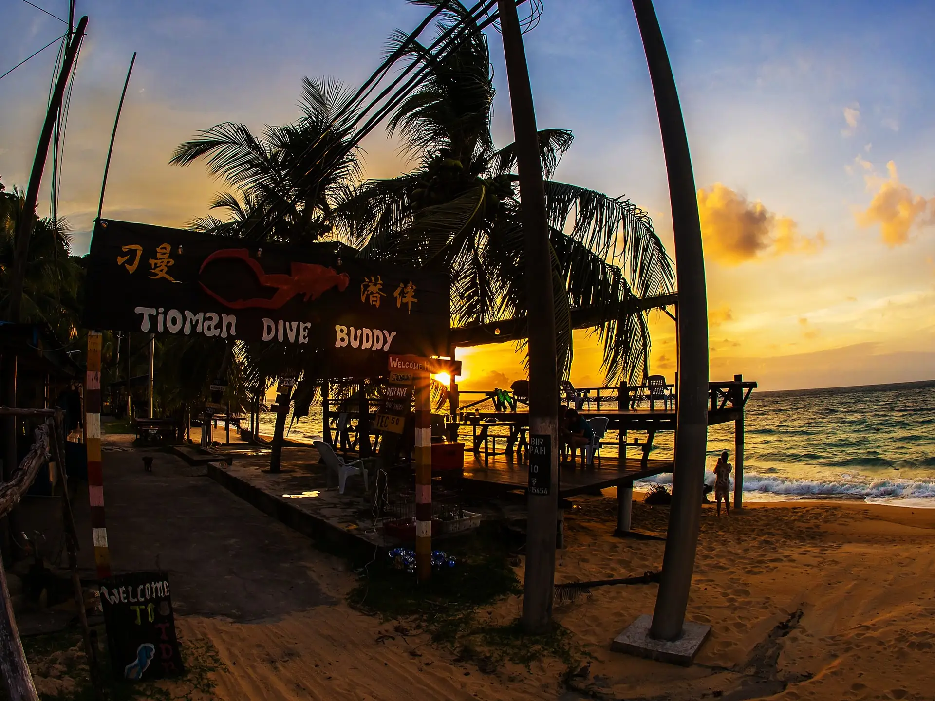 Tioman Dive Buddy Dive Centre