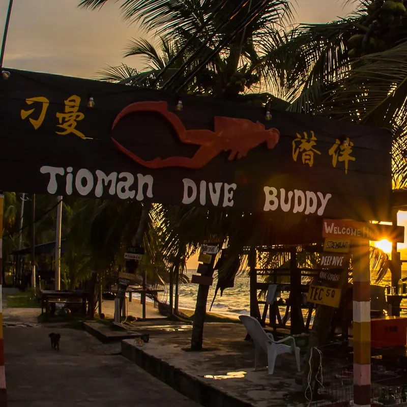 tioman dive buddy cover-2